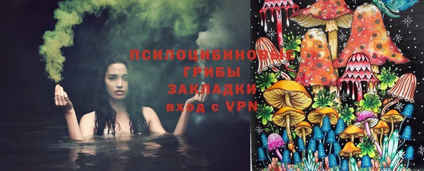 бошки Пестово