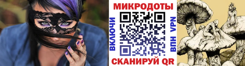 цена   Партизанск  Псилоцибиновые грибы Psilocybine cubensis 